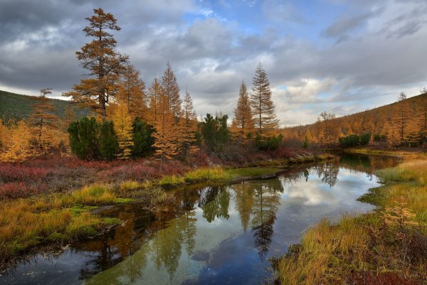 Река Колыма осенью