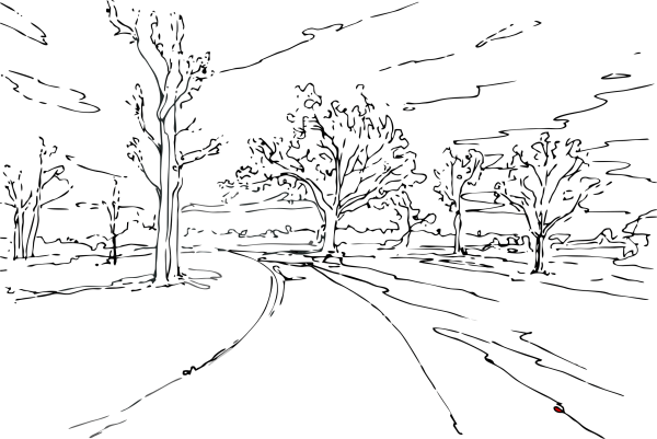 Пейзаж тушью и пером