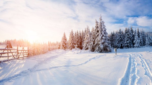 Зимнее поле