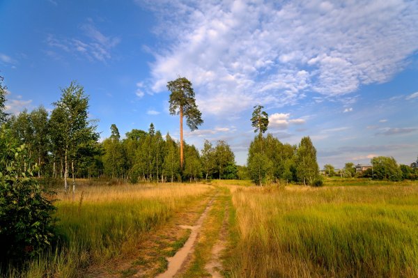 Барские пруды Фрязино