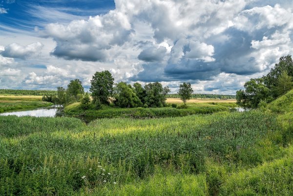 Природа Подмосковья