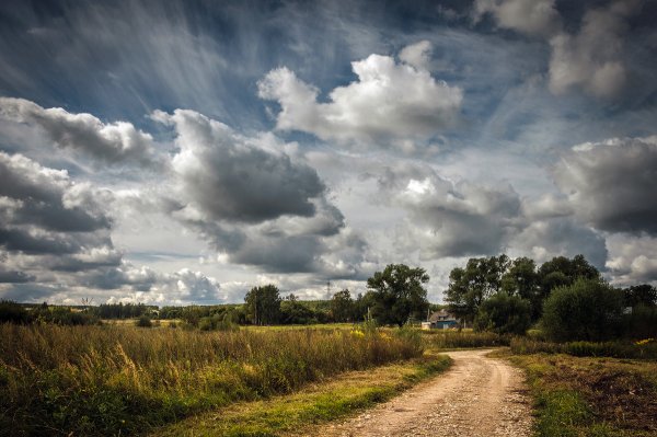 Лето в Подмосковье
