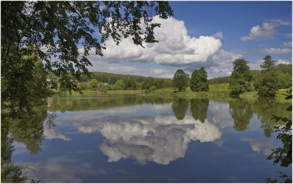 Подмосковная природа