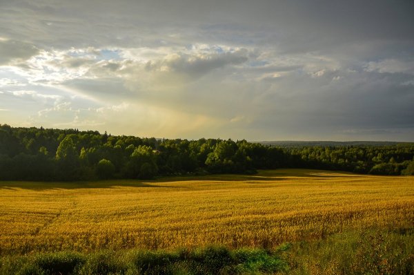 Природа Подмосковья