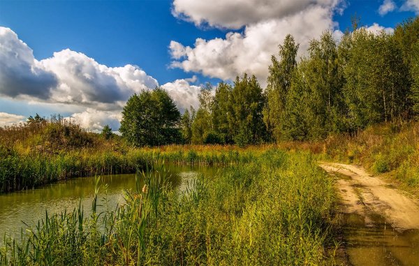 Летний подмосковный пейзаж