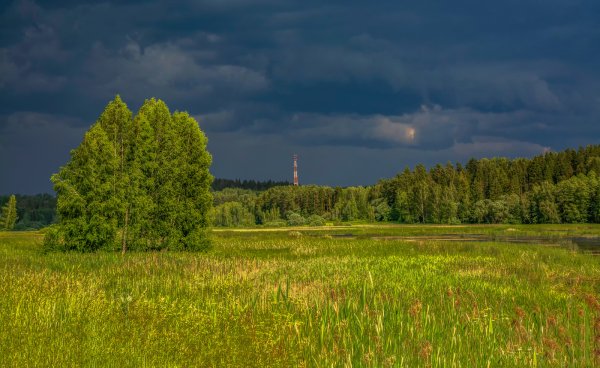 Летние пейзажи Подмосковья
