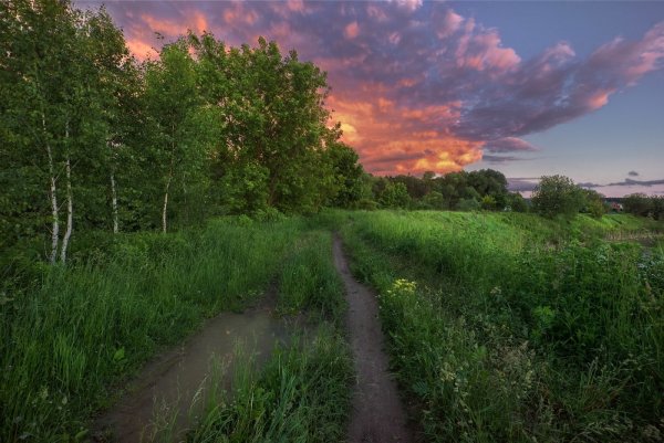 Природа Подмосковья