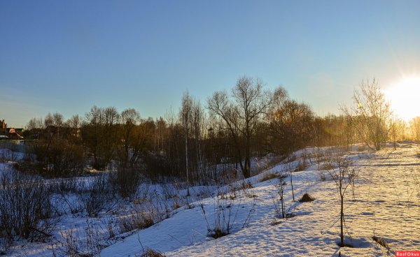 Удивительная природа Подмосковья