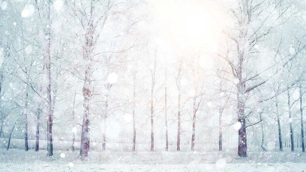 Зимний фон для портрета