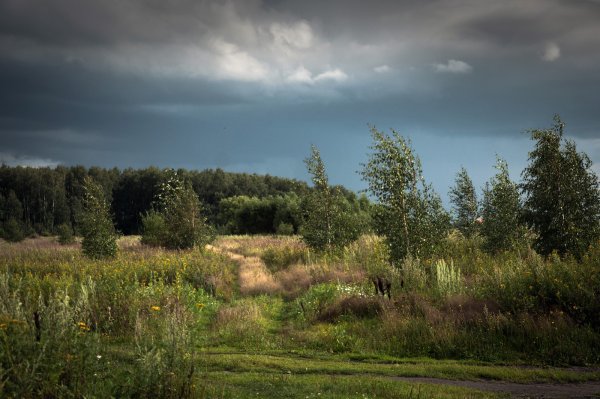 Новогорск речка