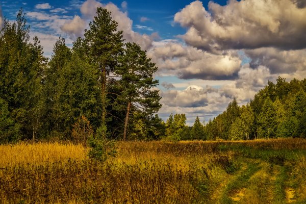 Природа Московской области