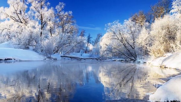 Зимнее утро Пушкин фото