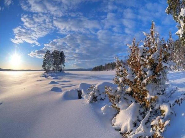 Ослепительная зима