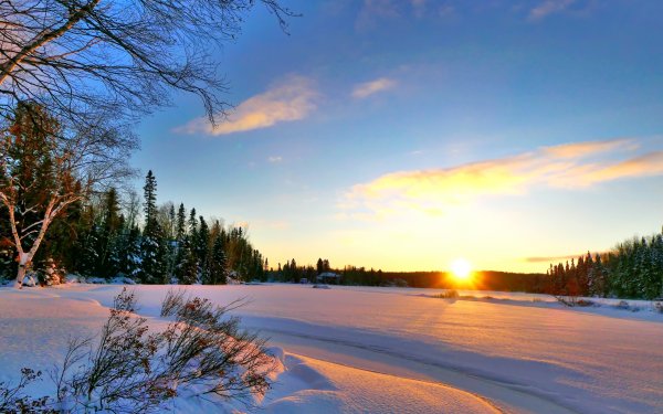 Ясный день зимой