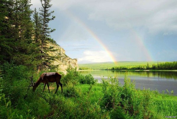 Таатта айыл5ата