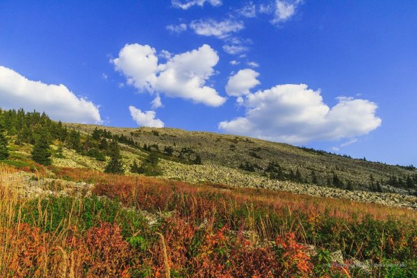 Родные просторы Башкирии