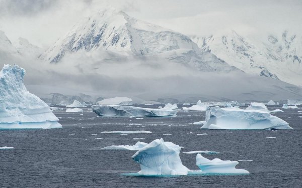 Природа Арктики