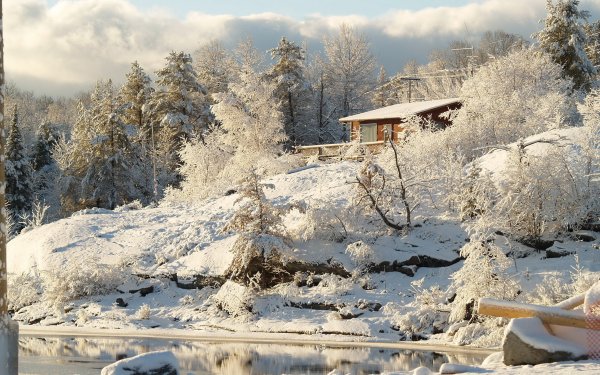 Японский парк зимой