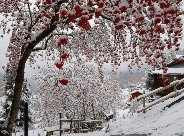 Винтер Гарден