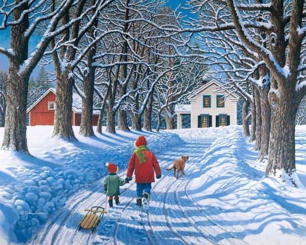 Кусты зимой