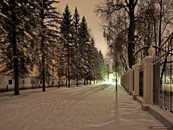 Денис Глазков художник Москва