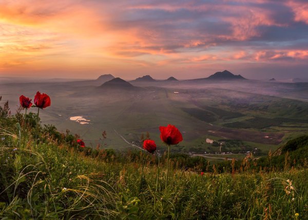 Маковое поле Пятигорск Бештау
