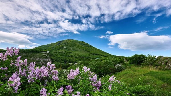 Гора Машук Минеральные воды