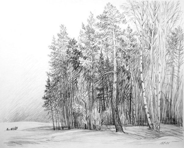 Пейзаж с животными карандашом