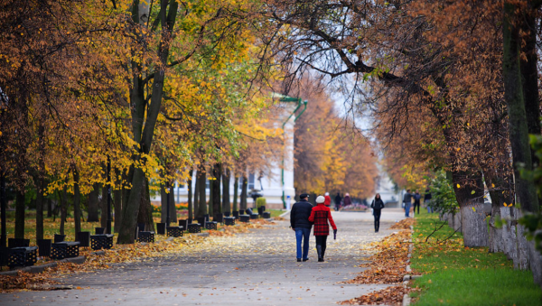 Верхний парк осенью Липецк
