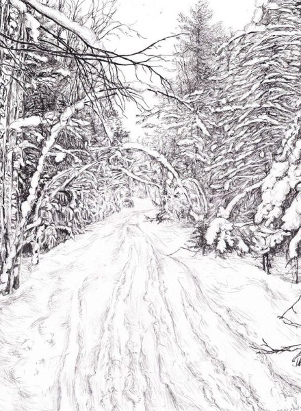 Снежный лес карандашом