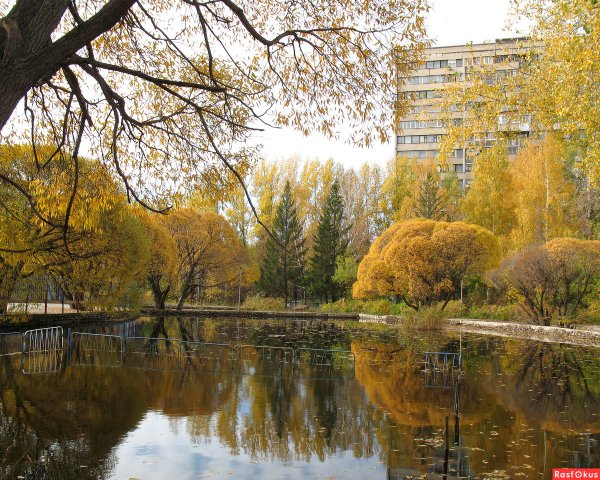 Тольятти осенью парк