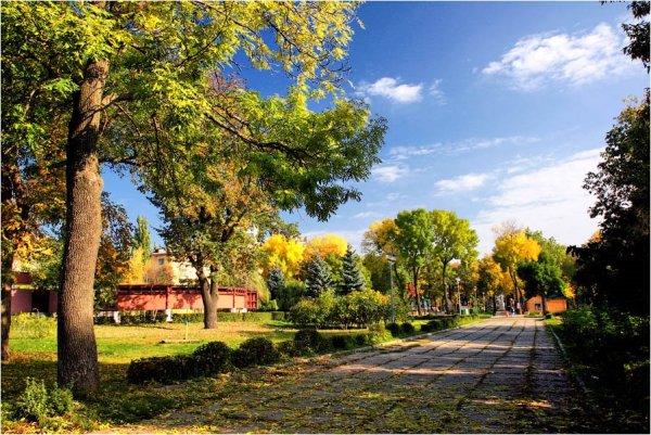 Верхний парк осенью Липецк