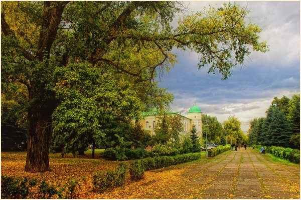 Валерий Муравлев Павловский Посад художник портрет