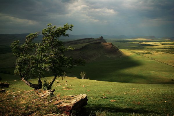 Пейзаж сфотографированный