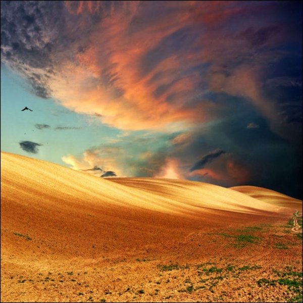 Позитивный пейзаж