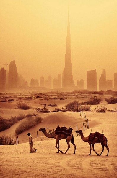 Аравийская пустыня ОАЭ