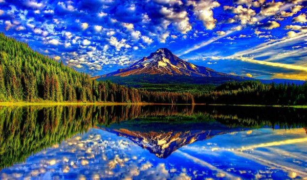 Удивительный мир природы