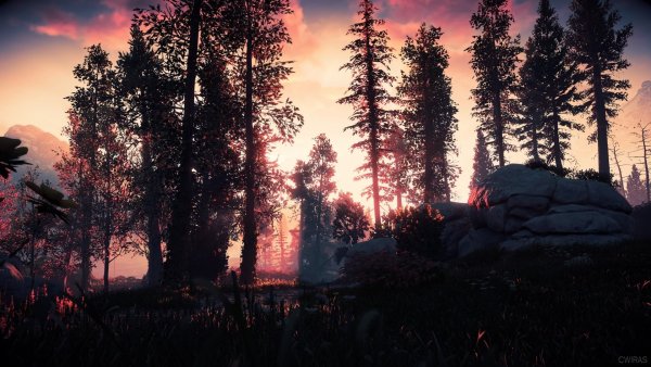 Раст фон Хоризон