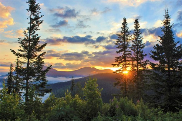 Тайга Кузнецкий Алатау