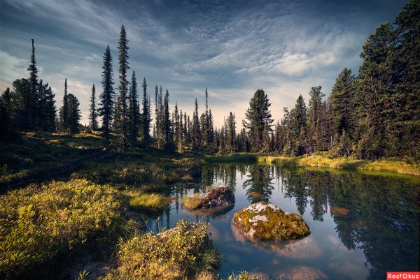 Озеро в сибирской тайге