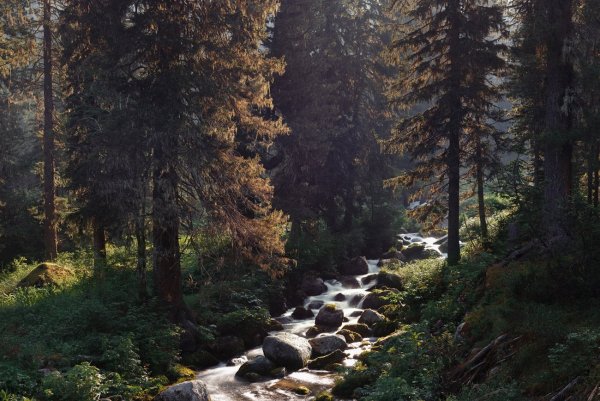 Горы озеро Тайга