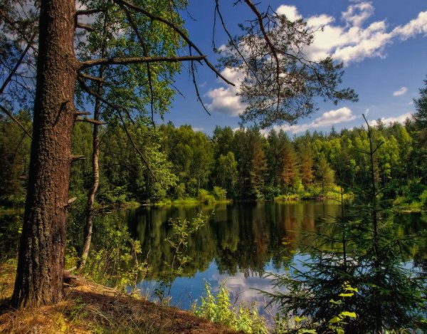 Сибирь Дикая природа