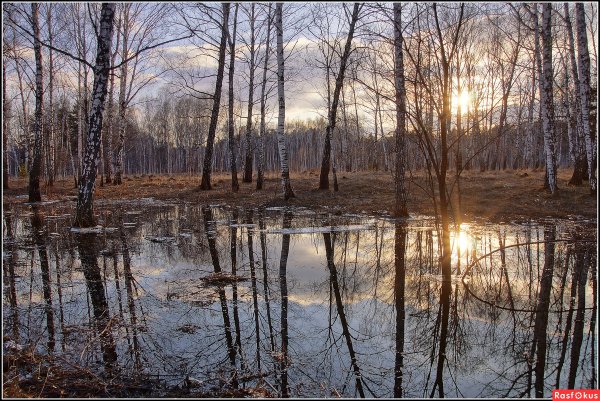 Природа Весна апрель
