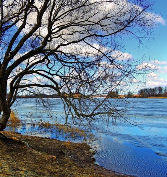 Природа Весна апрель