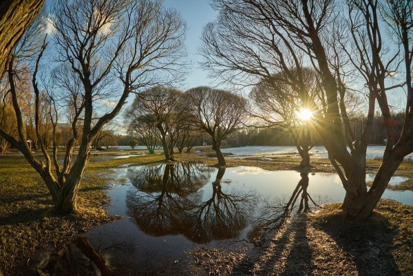 Ранняя Весна солнце