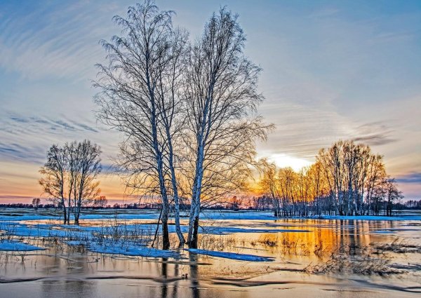 Ранняя Весна пейзаж