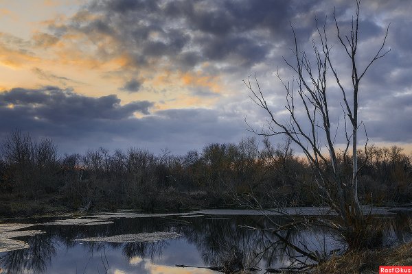 Изображение весны апрель