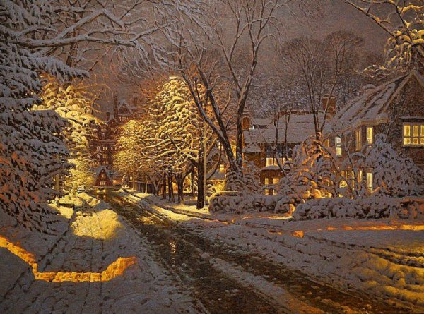 Канадский художник Ричард Савойя