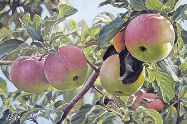 Васнецов ветка яблони