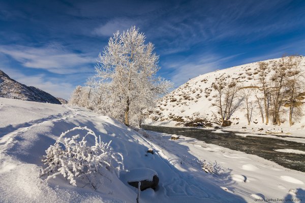 Алтайский край зима